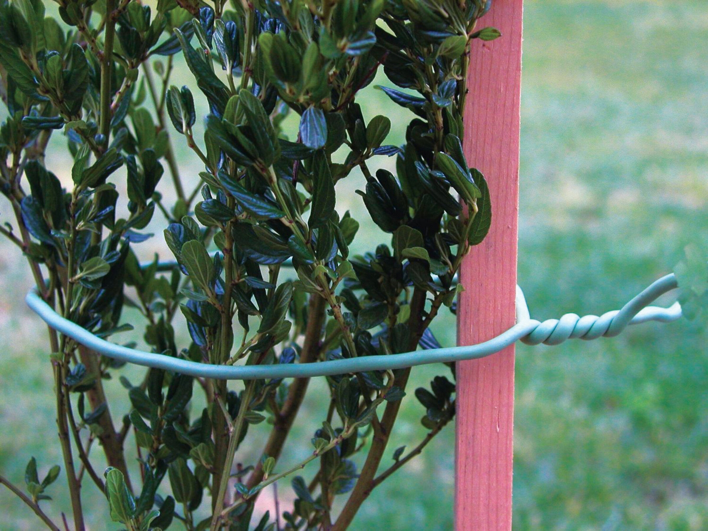 Atadura goma con alambre 5mm - 2