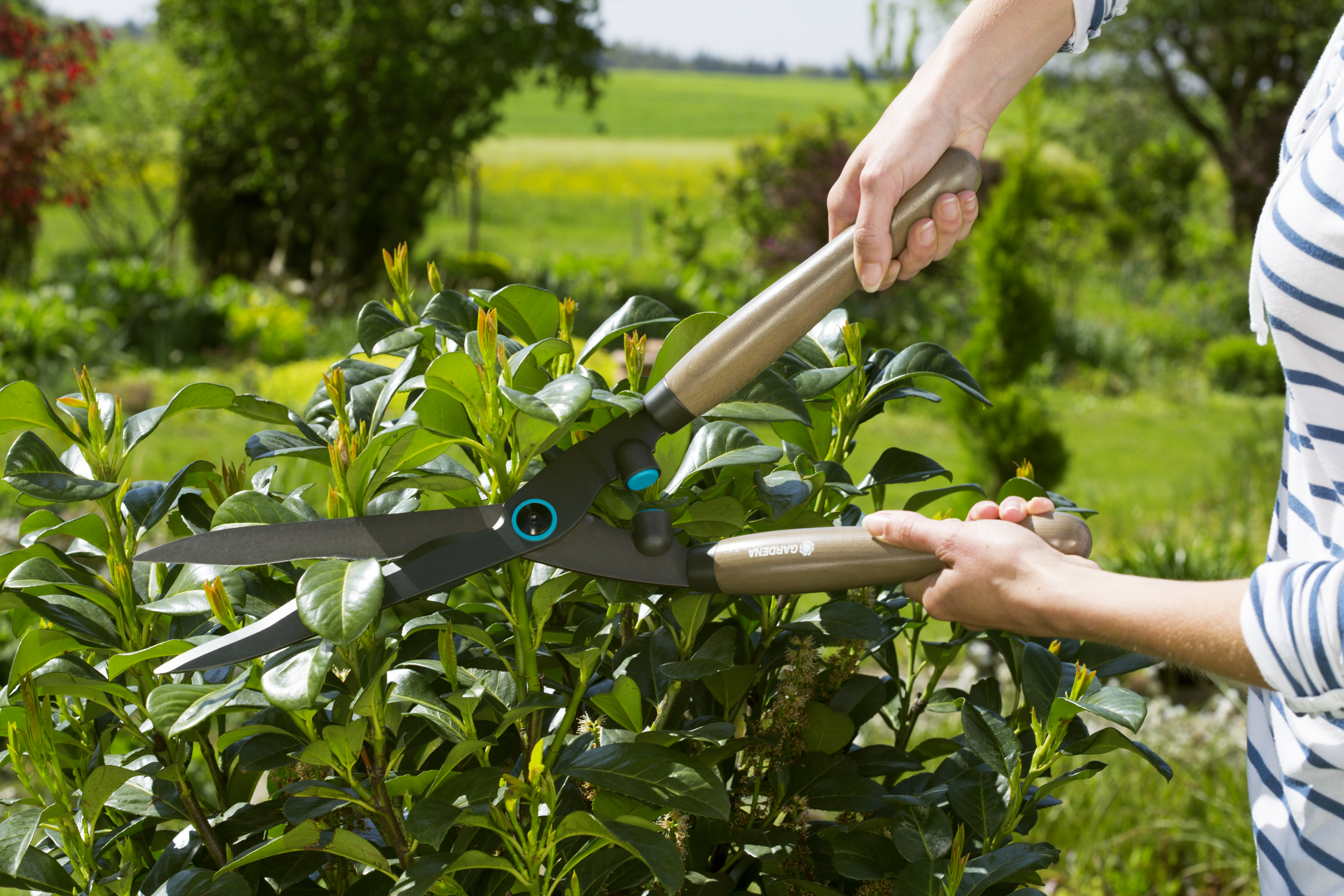 Cisaille à haie GARDENA acier revêtu antiadhérent NatureCut 12300-20 - 4