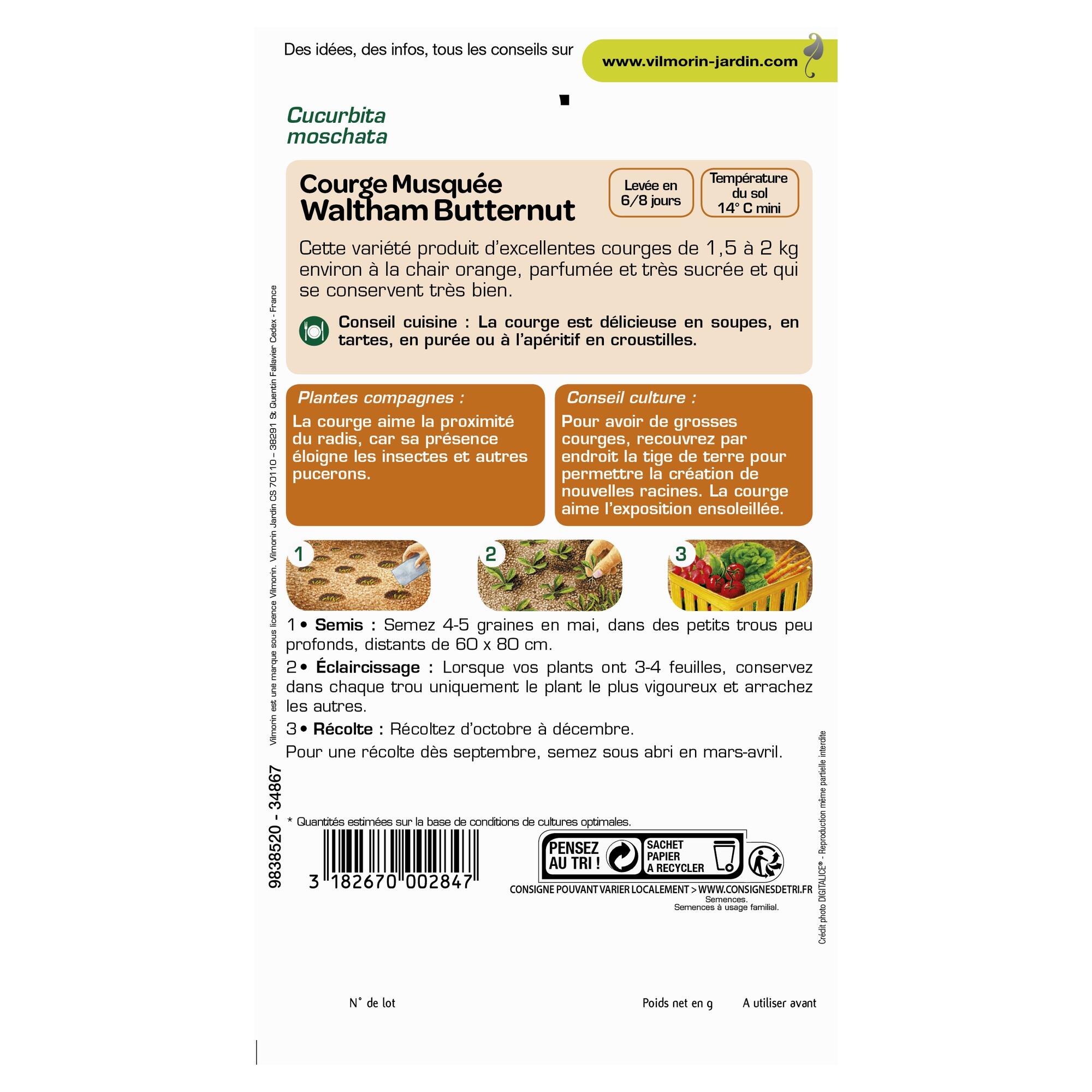 Graines de courge VILMORIN 3 g - 2