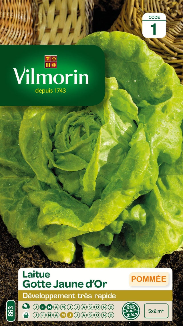 Laitue gotte jaune d or VILMORIN 4 g