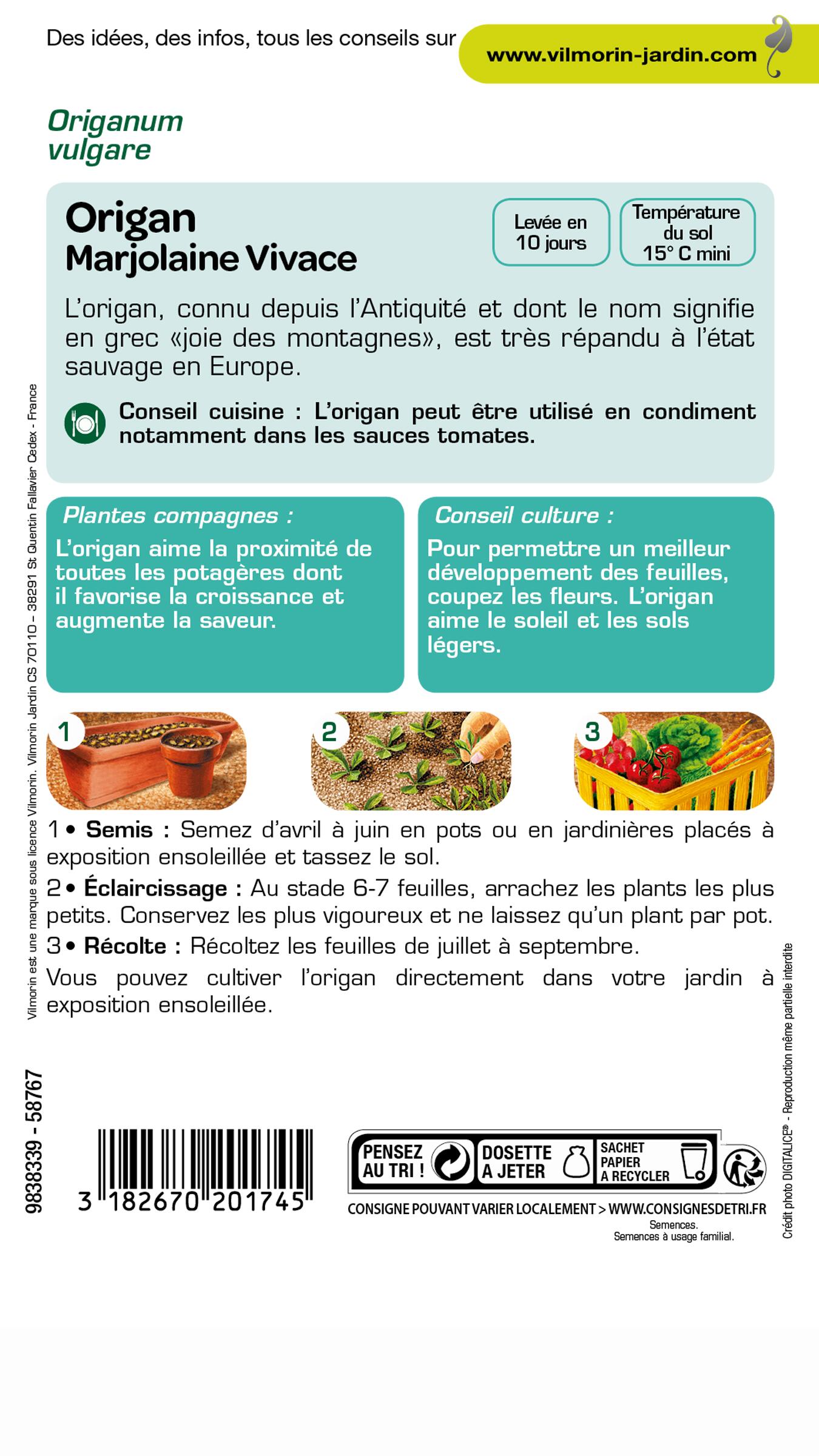 Graines de origan VILMORIN 1 g - 2