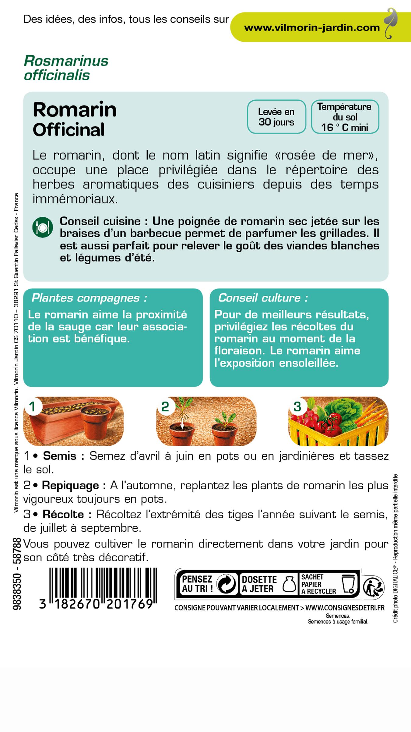 Romarin officinal VILMORIN 1 g - 2
