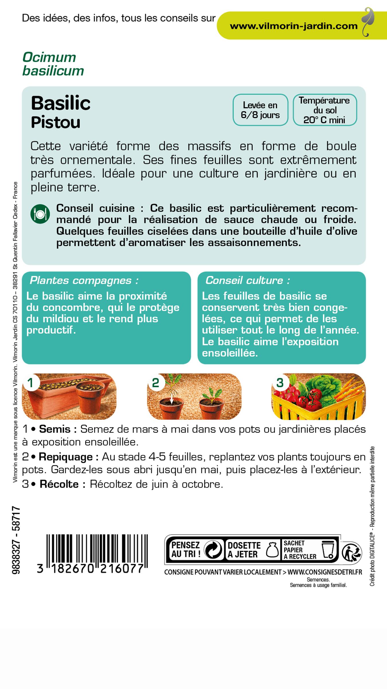 Graines de basilic VILMORIN 1 g - 2