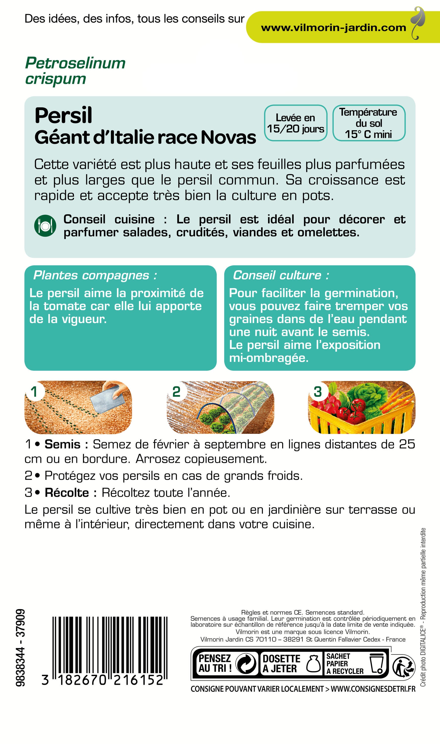 Graines de persil VILMORIN 5 g - 2