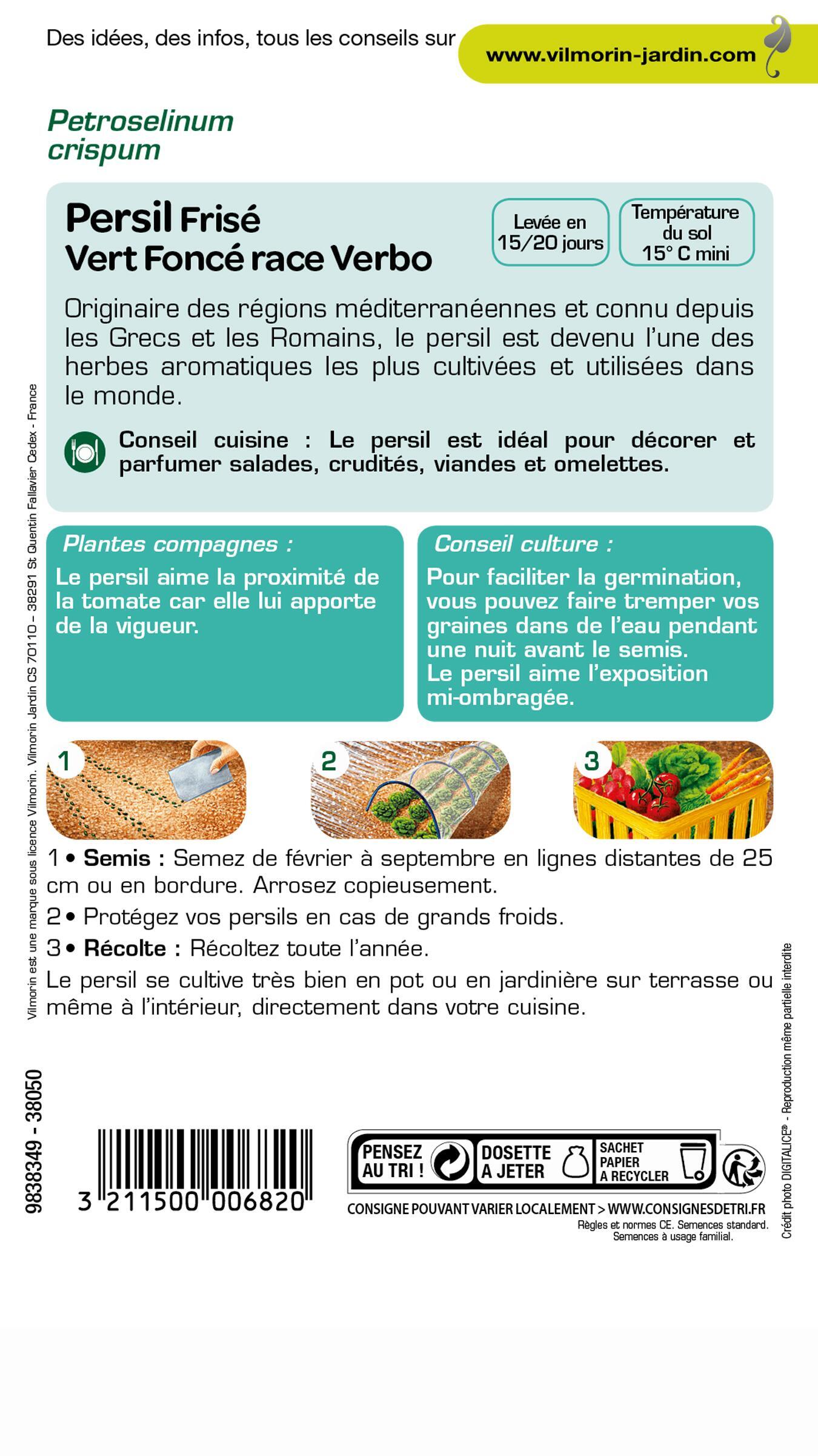 Graines de persil VILMORIN 5 g - 2