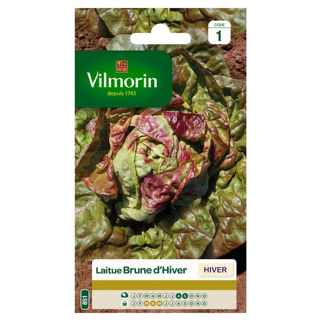 Laitue brune d'hiver VILMORIN 4 g
