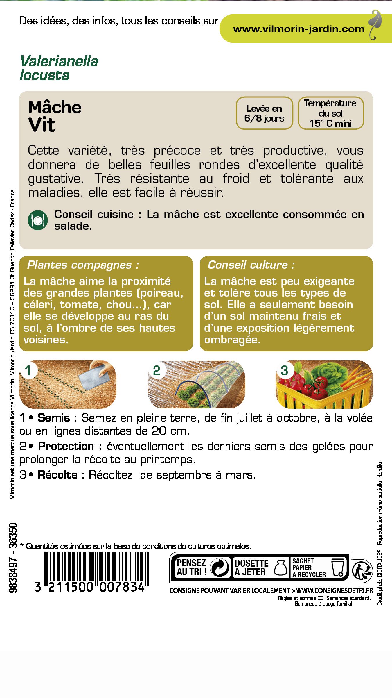 Mâche mâche vit VILMORIN 3 g - 2
