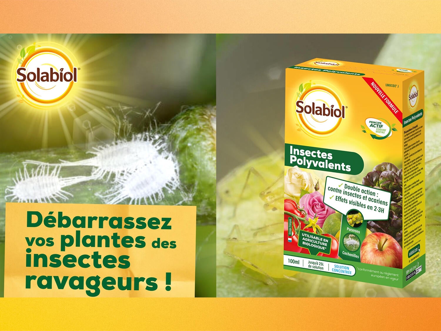 Traitement des maladies acariens SOLABIOL,100ML - 2