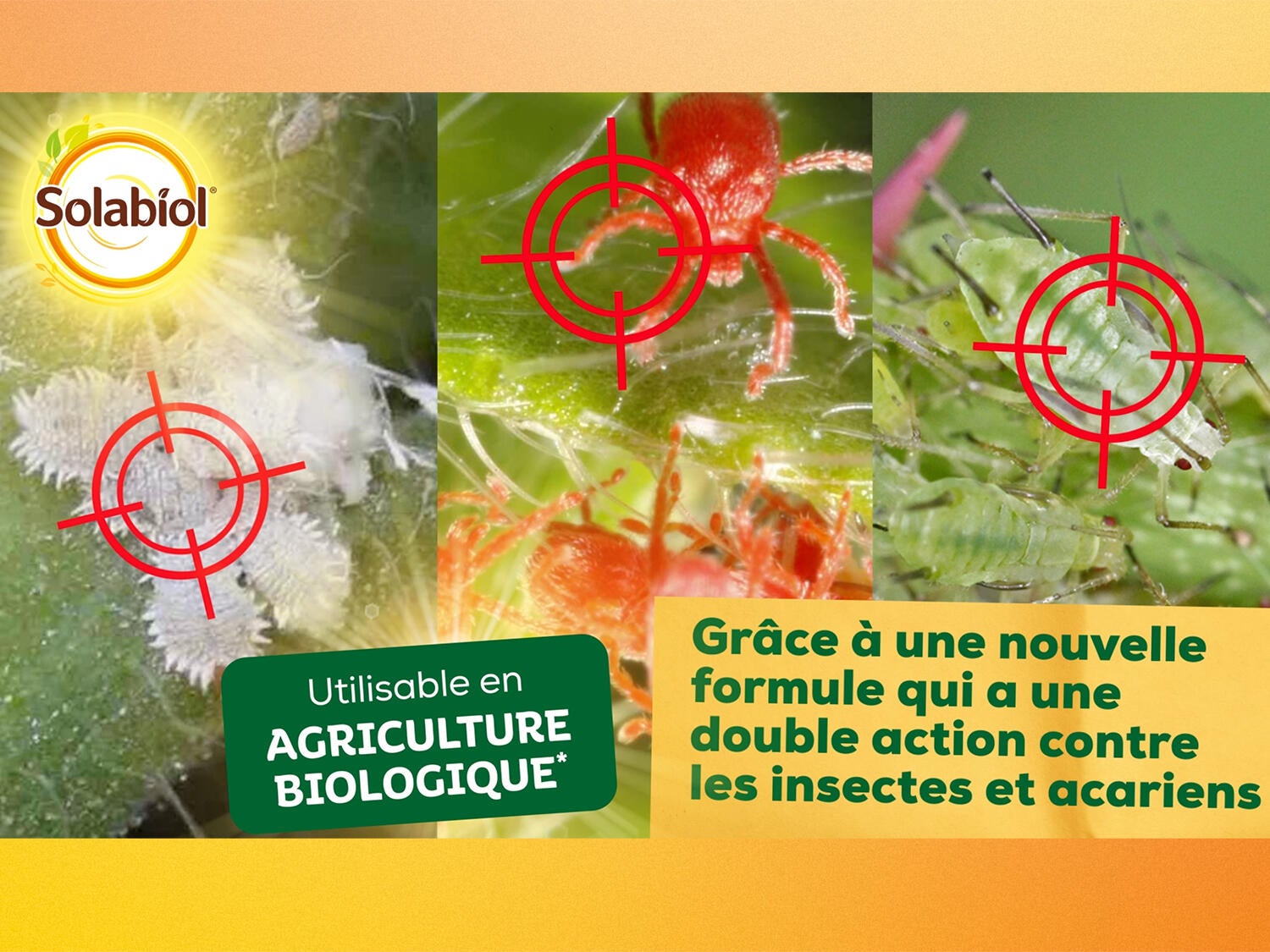 Traitement des maladies acariens SOLABIOL,100ML - 3