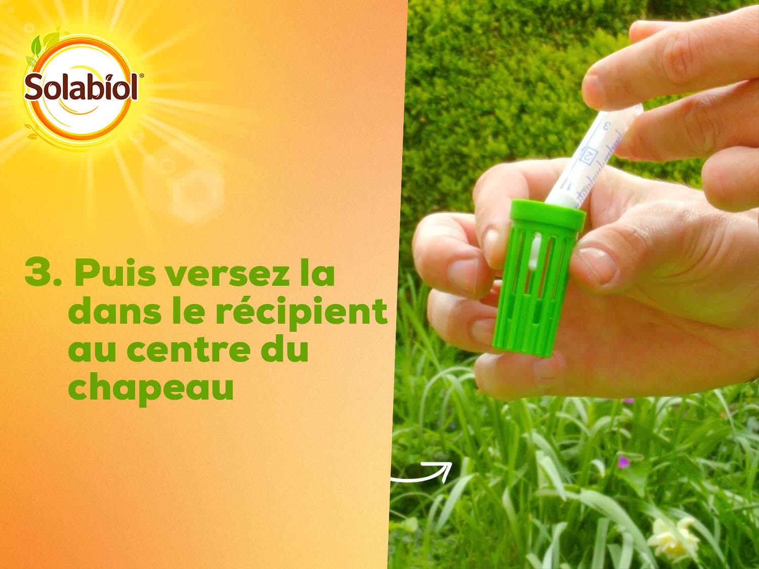 PIEGE PHEROMONE PYRALE DU BUIS SOLABIOL - 4