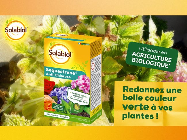 Traitement des maladies cloque du pêcher SOLABIOL, 100g | Leroy Merlin Traitement des maladies cloque du pêcher SOLABIOL, 100g | Leroy Merlin
