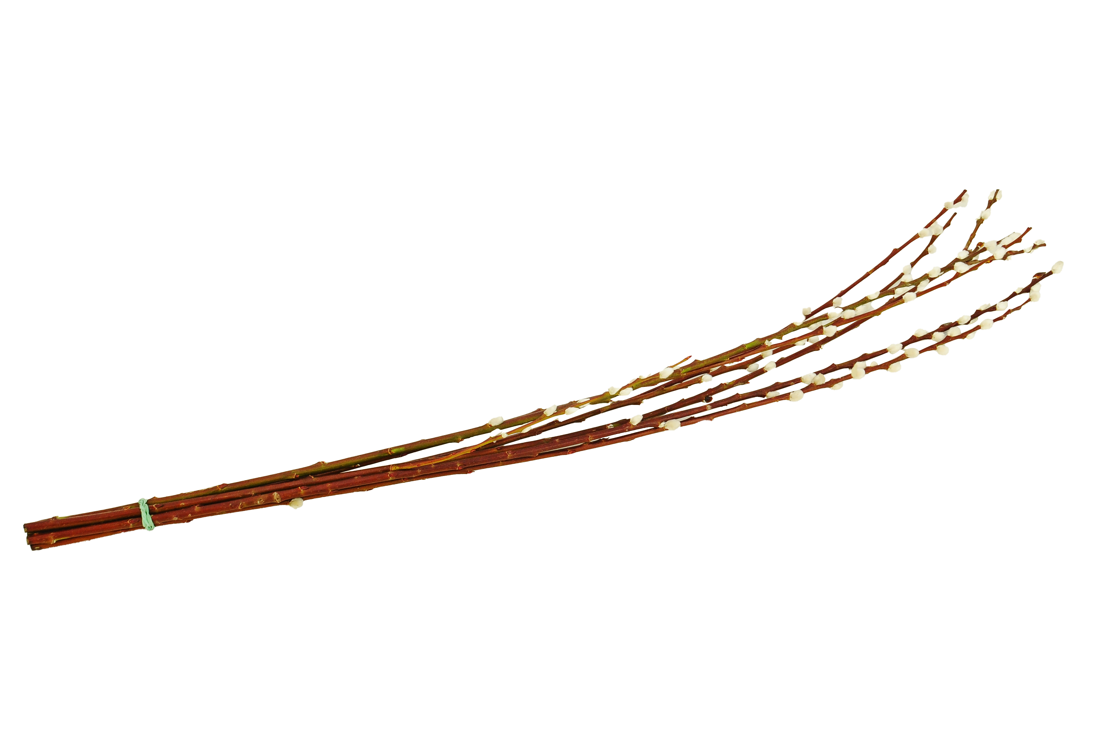 Bazie bukiet 90-100 cm