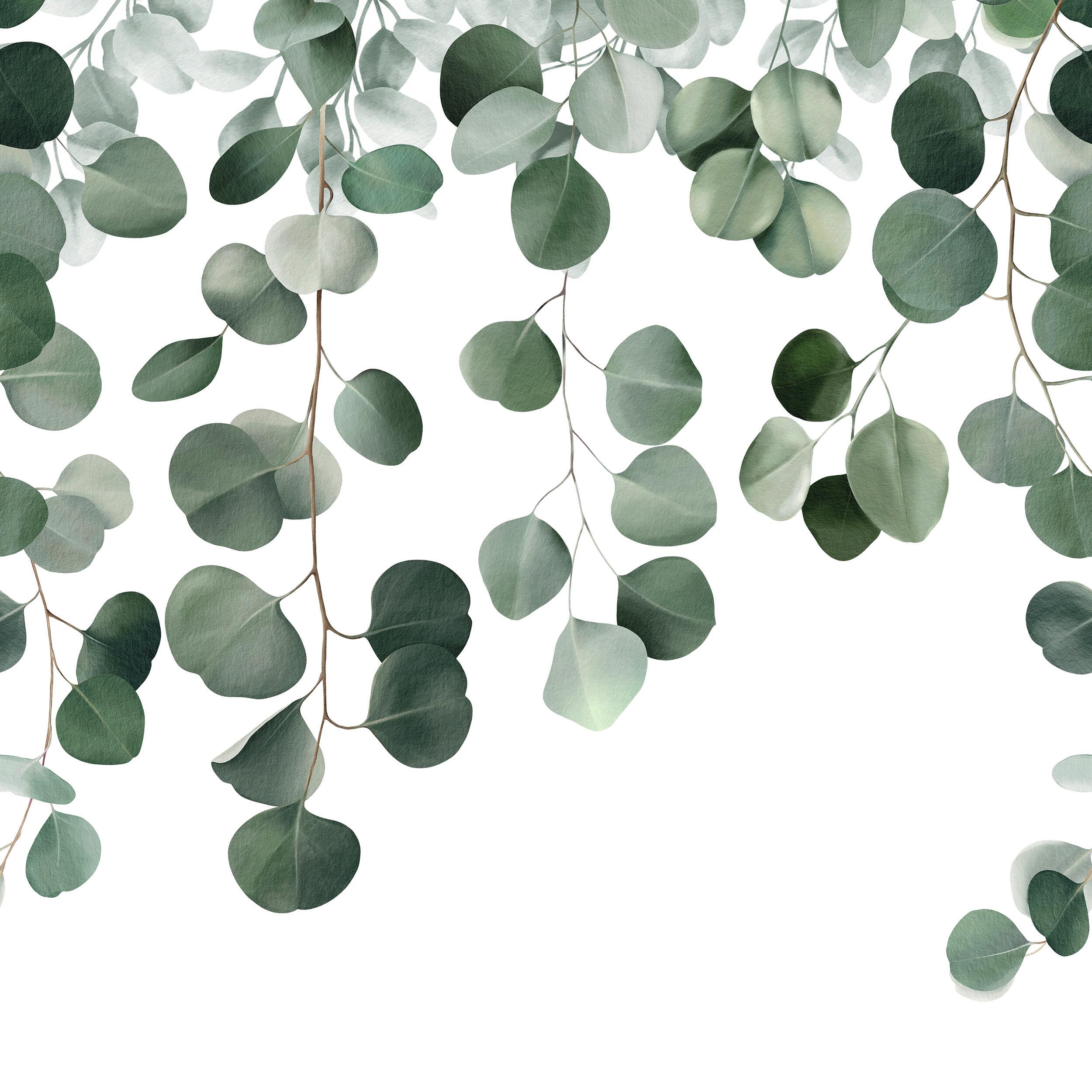 Papier peint panoramique Eucalyptus icarus vert l.159 x H.280 cm - 2