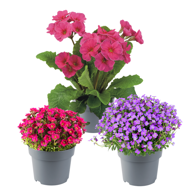 WYSZUKIWANIE LEROY MERLIN visual data 8