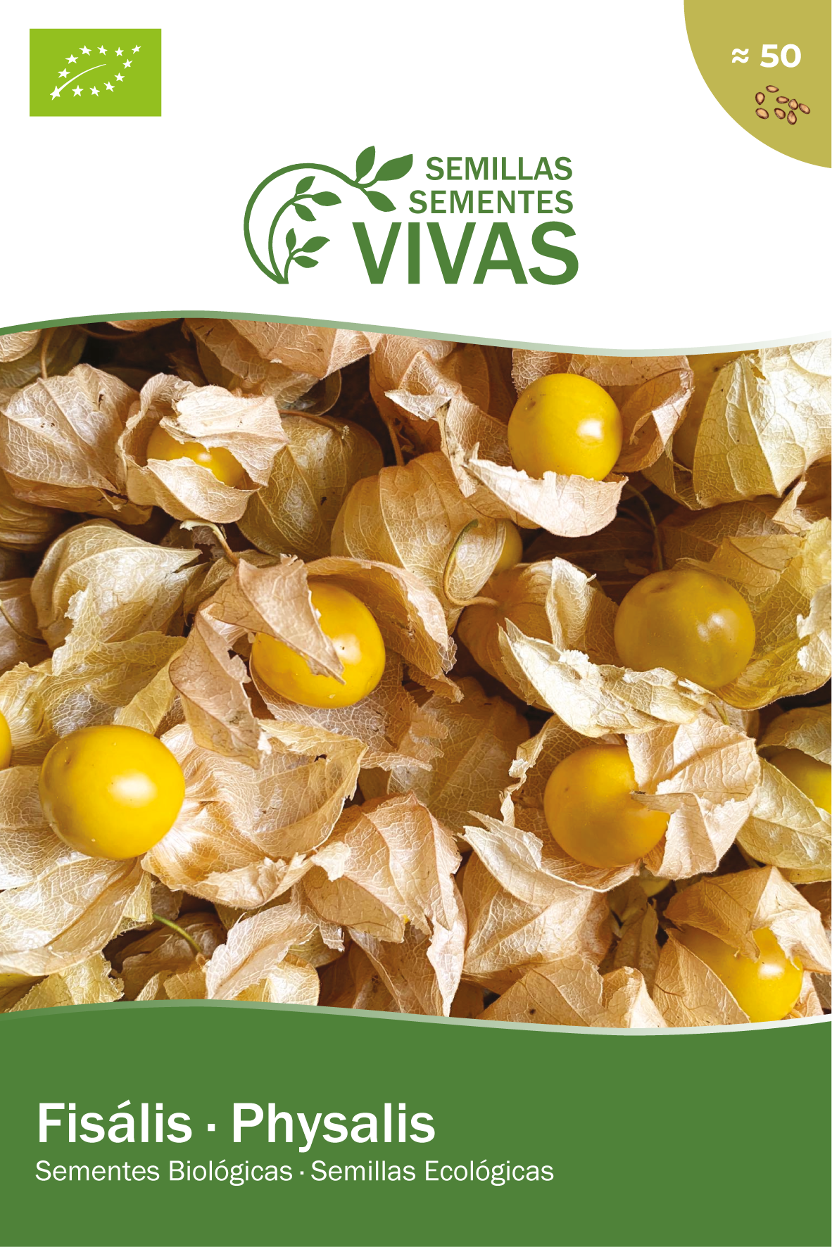 Sementes fisalis sementes vivas biologico - 2