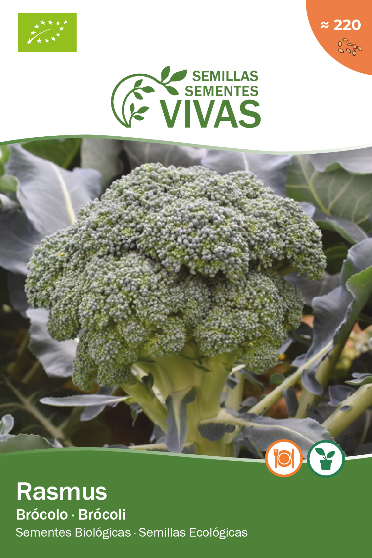 Sementes brócolo rasmus sementes vivas biologico - 2