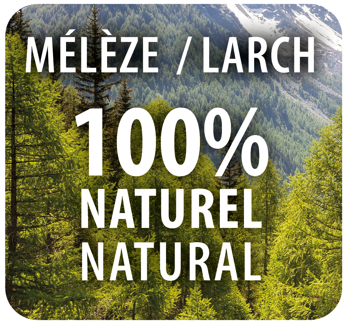 bois meleze forest style - 0