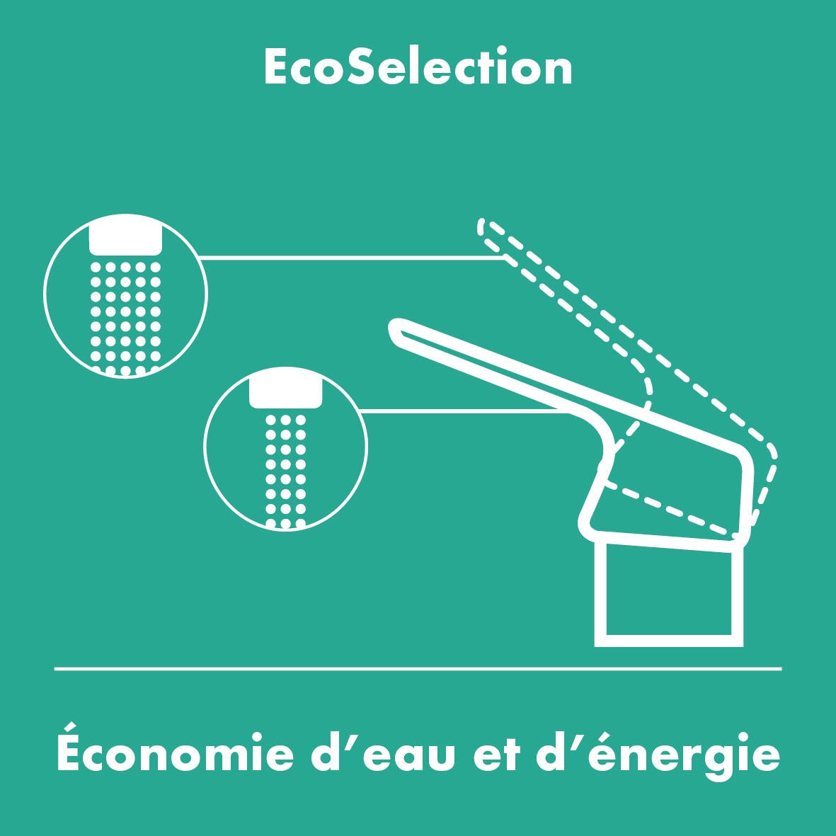 ECOSELECTION - 6