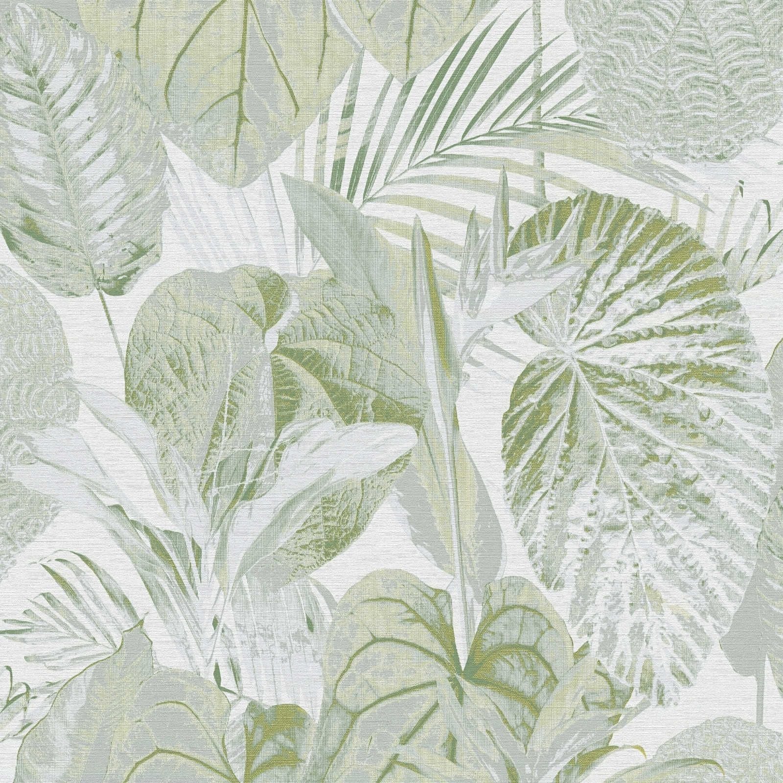 Carta da parati fogli Tropical verde, 53 cm x 10 m - 2