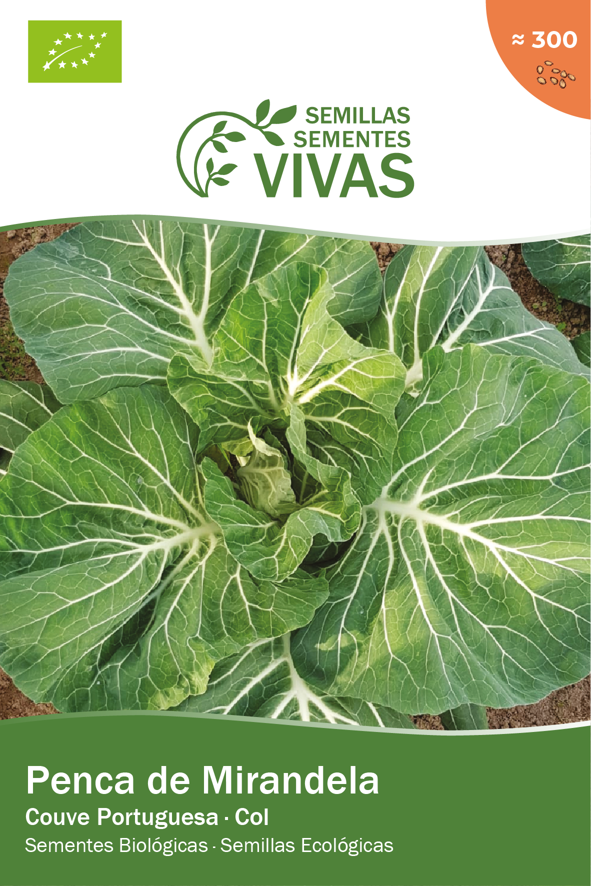 Germisem Penca de Mirandela Cabbage Seeds 5 g