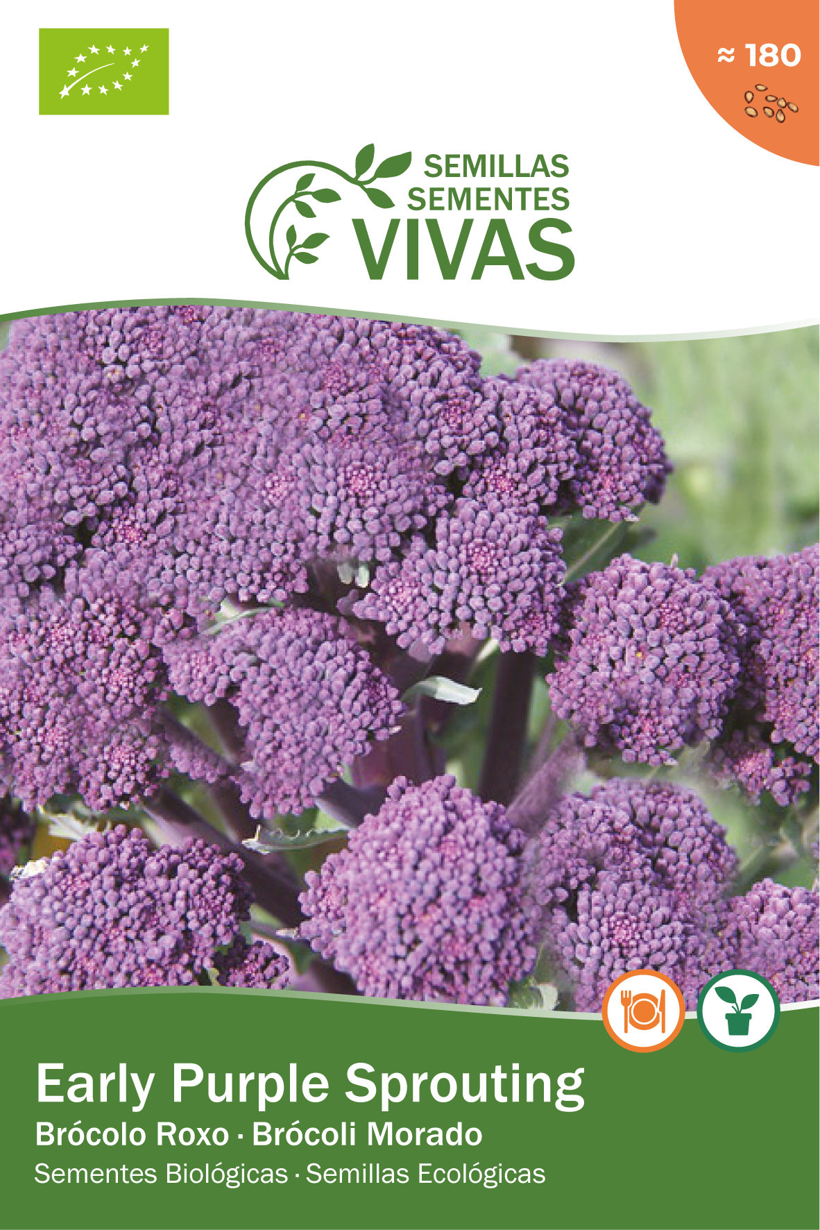 Semilla de brocoli early purple sprout bio