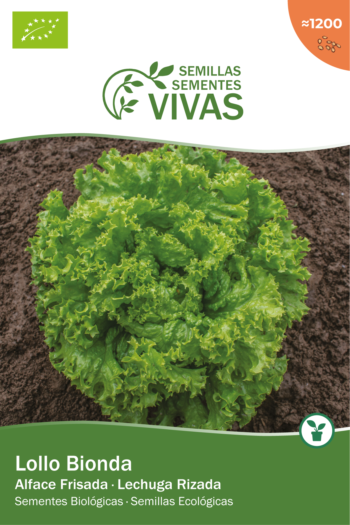 Semilla de lechuga lollo bionda bio