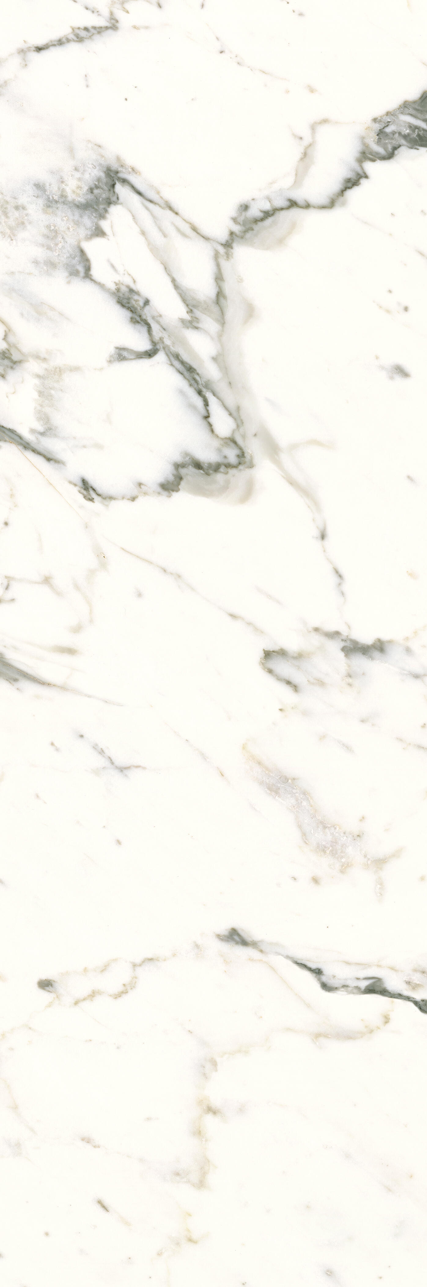 SPC da incollare per pavimento e rivestimento Carrara bianco Sp 3 mm CERAMIN 3.7 m² - 23