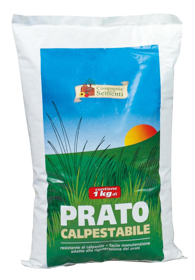 Seme per prato Calpestabile 1 kg