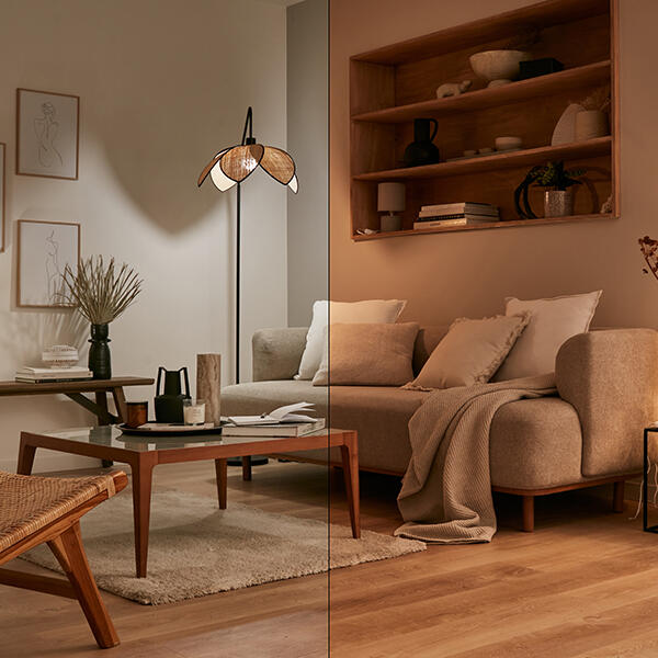 Ampoule led connectée, globe 95mm E27, 1055Lm, variation de blancs, LEXMAN ENKI - 3