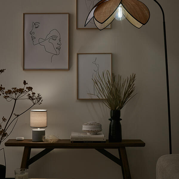 Caixa domótica ENKI - 17