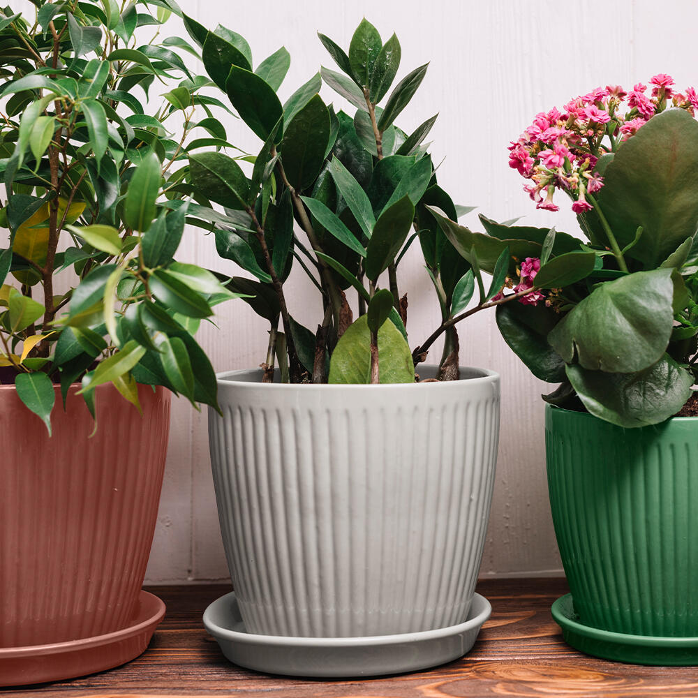 Multi-supports RICHARD vert feuille RAL 6002 brillant 400 ml - 3