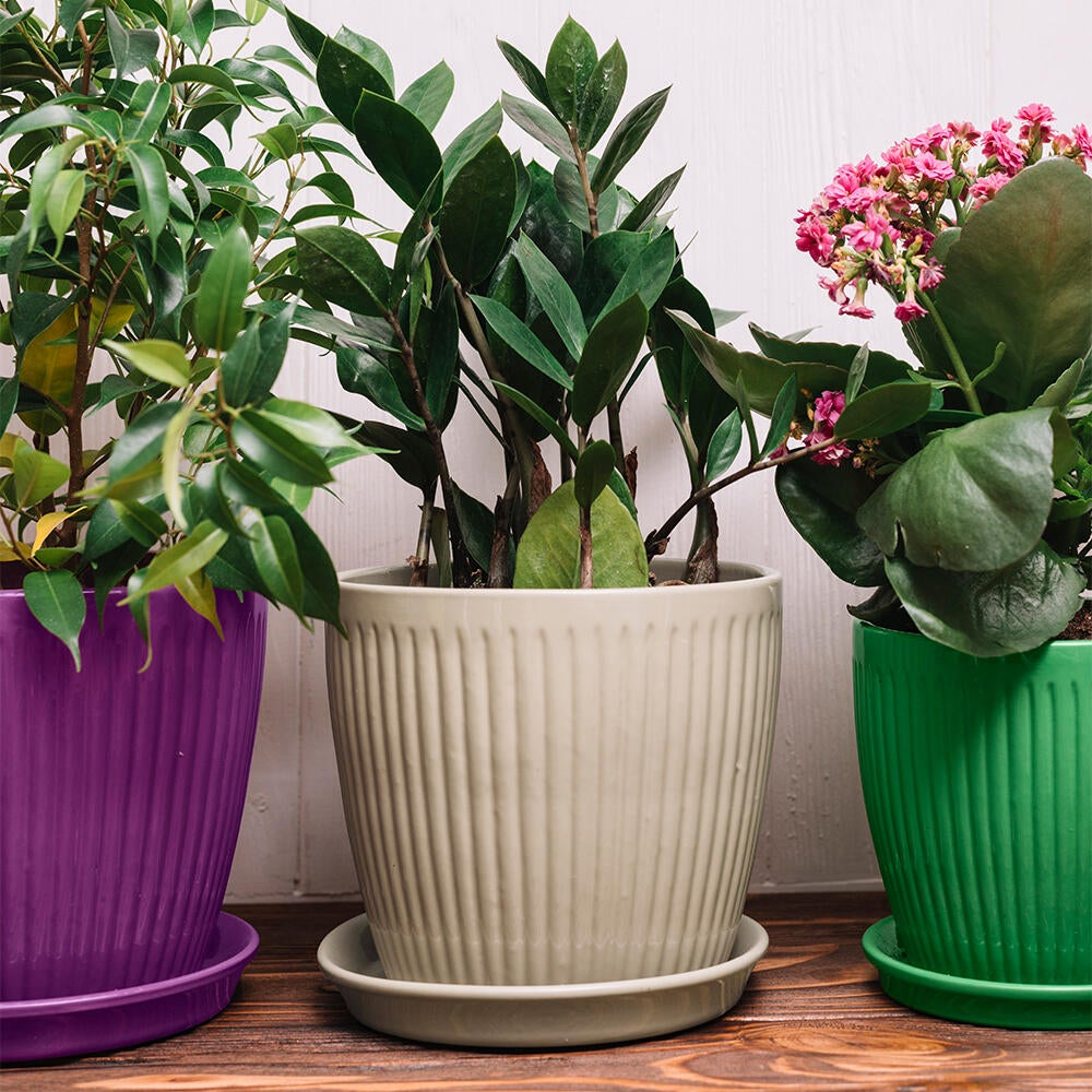 Multi-supports RICHARD vert menthe RAL 6029 brillant 400 ml - 3