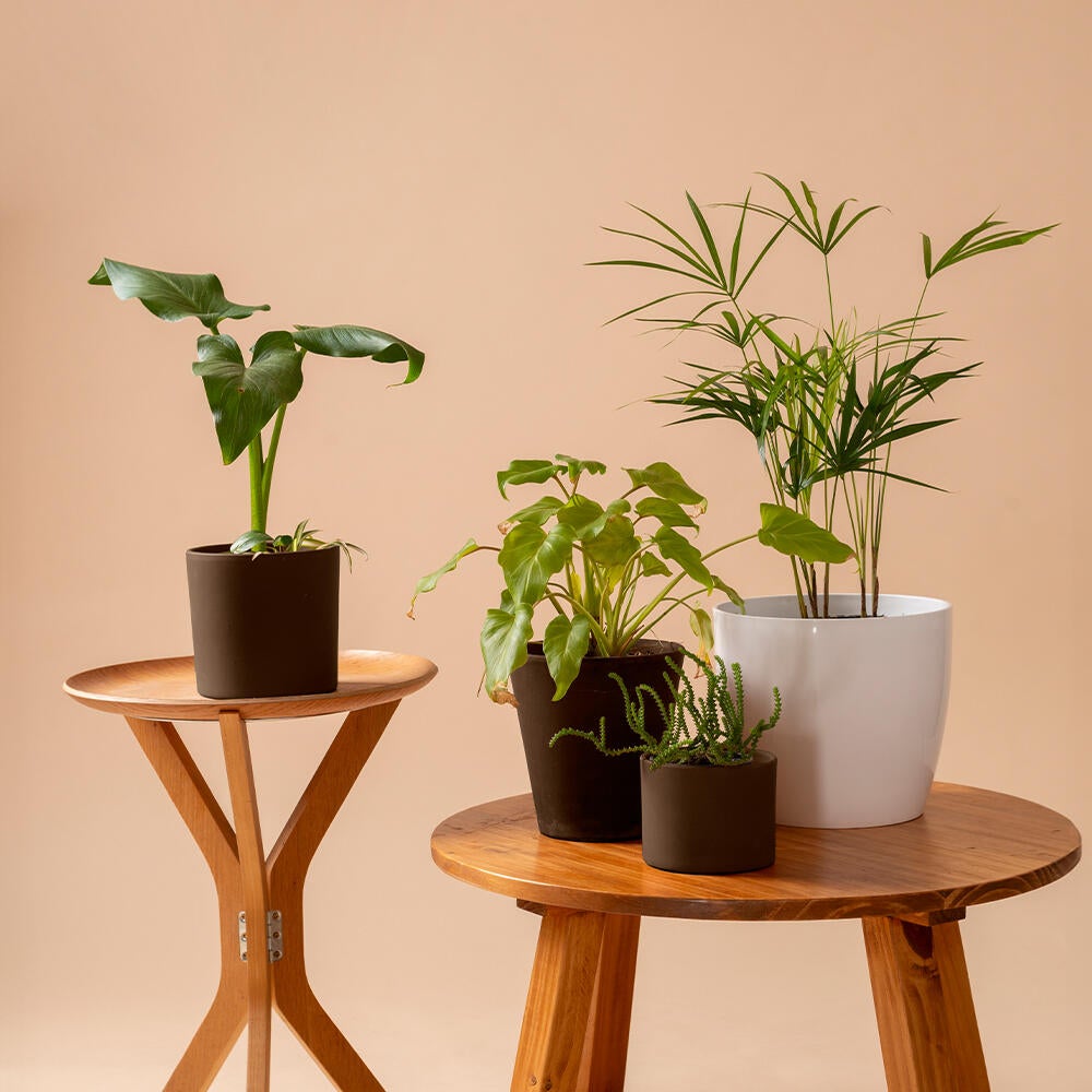 Multi-supports RICHARD brun sepia RAL 8014 brillant 400 ml - 3