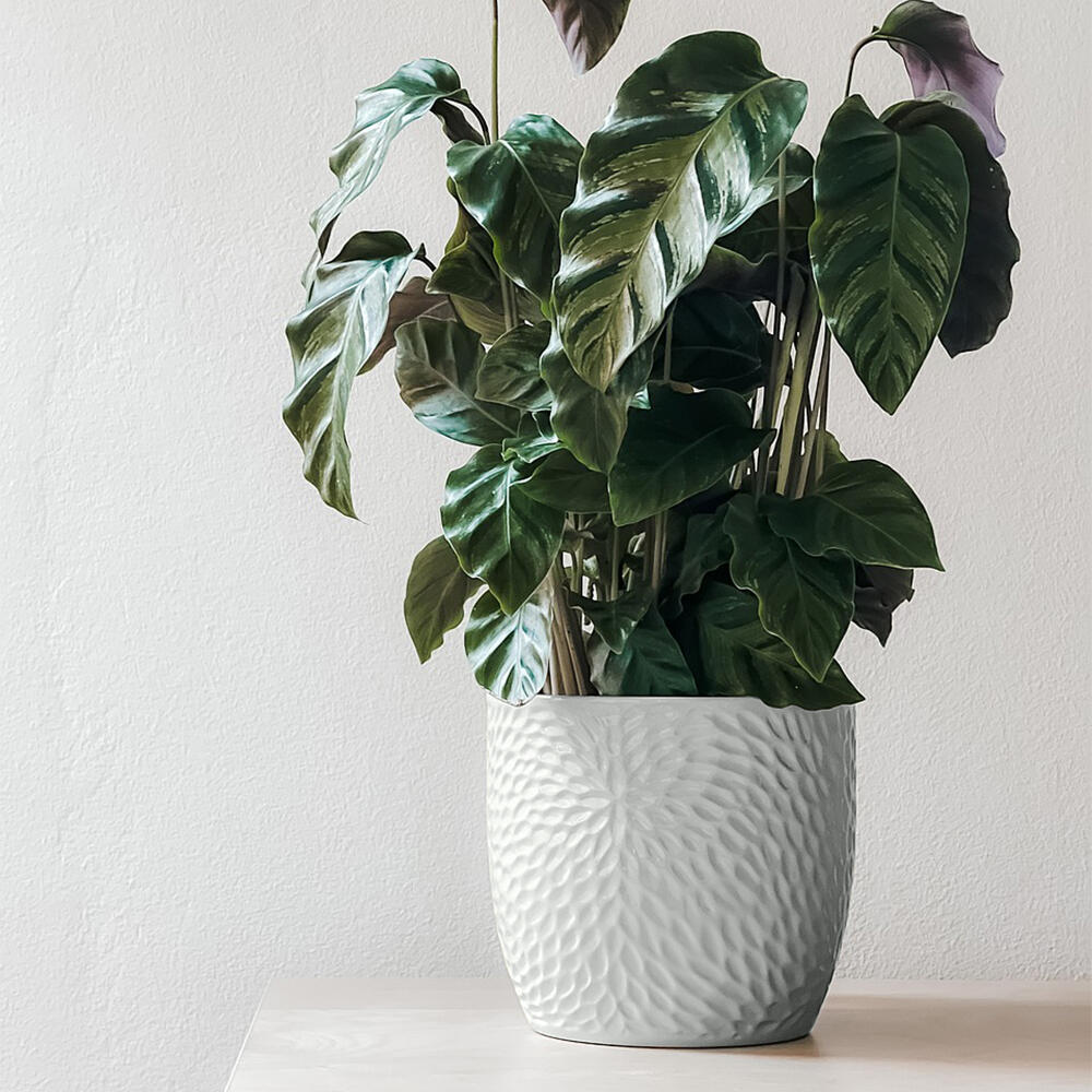 Multi-supports RICHARD gris clair RAL 7035 brillant 400 ml - 3