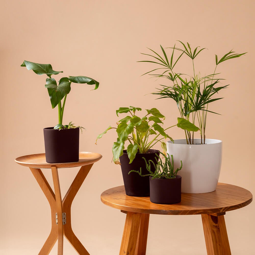 Multi-supports RICHARD brun acajou RAL 8016 brillant 400 ml - 3