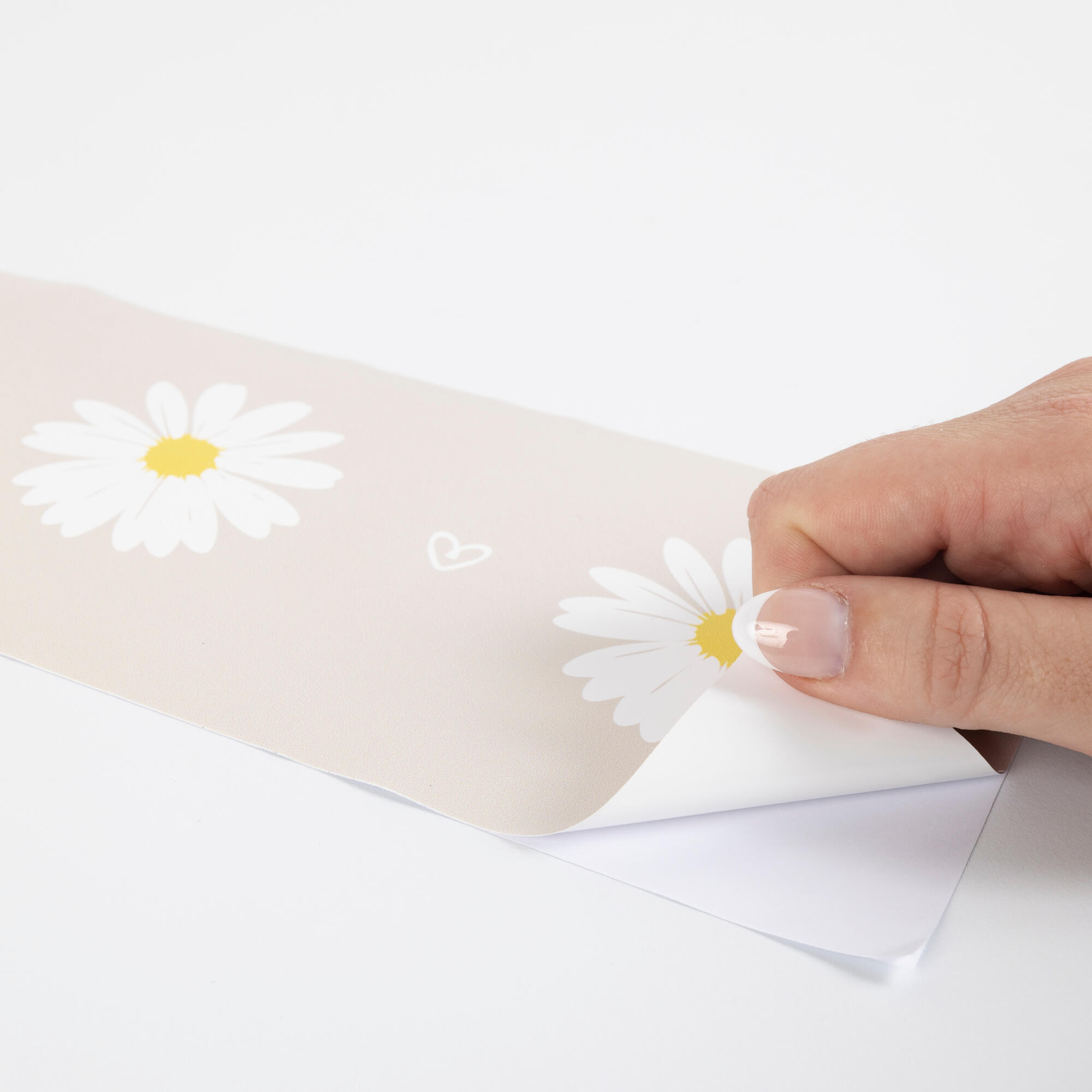 Cenefa adhesiva PVC lavable infantil Margaritas rosa 115 cm x 3 m - 4