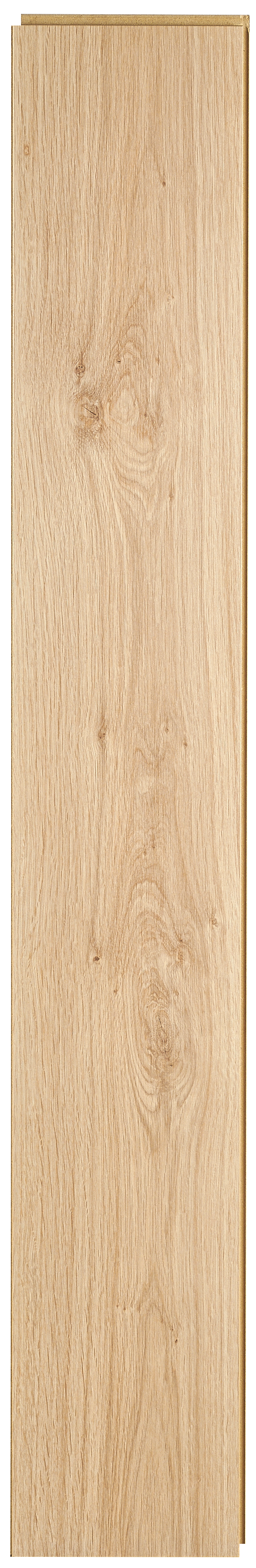 Panele podłogowe laminowane wodoodporne AC5 10 mm Artens Nilo - 11