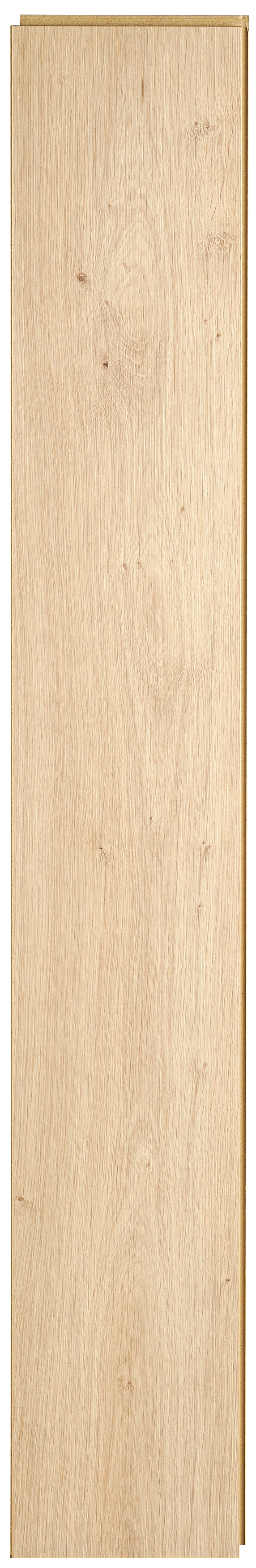 Panele podłogowe laminowane wodoodporne AC5 10 mm Artens Nilo - 10