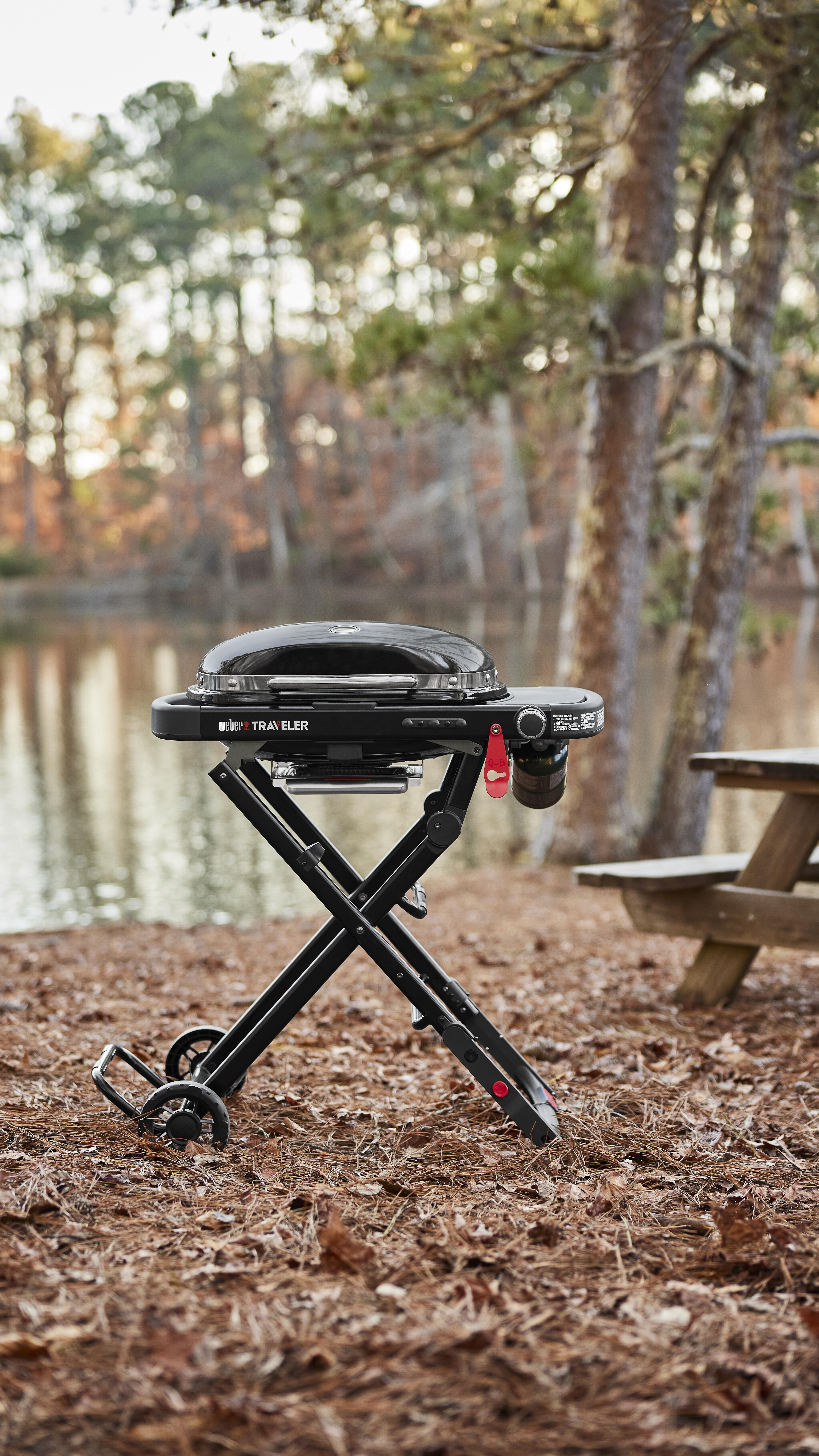 Barbecue a gas WEBER Traveler Compact 1 bruciatori - 2