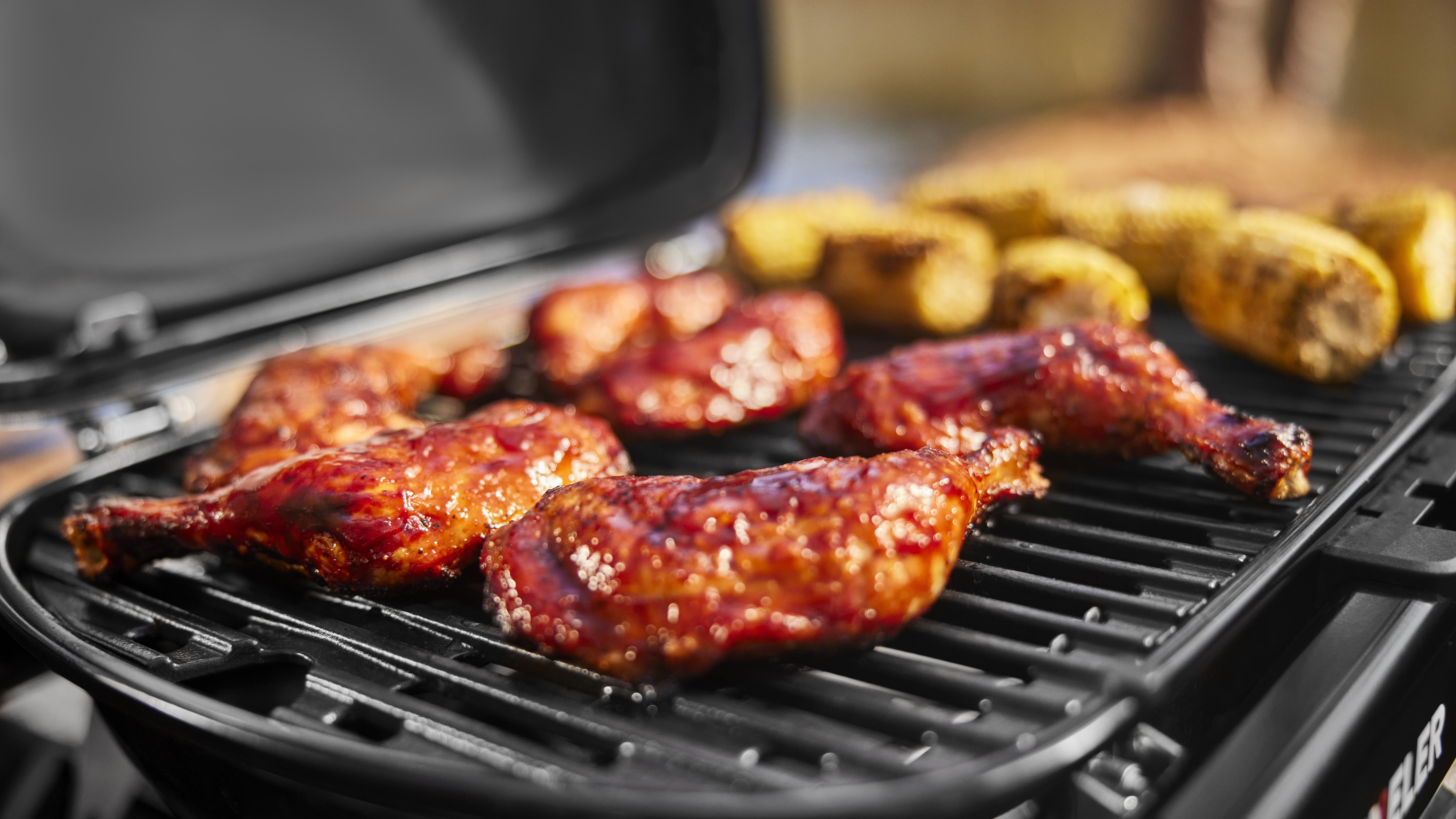 Barbecue a gas WEBER Traveler Compact 1 bruciatori - 5