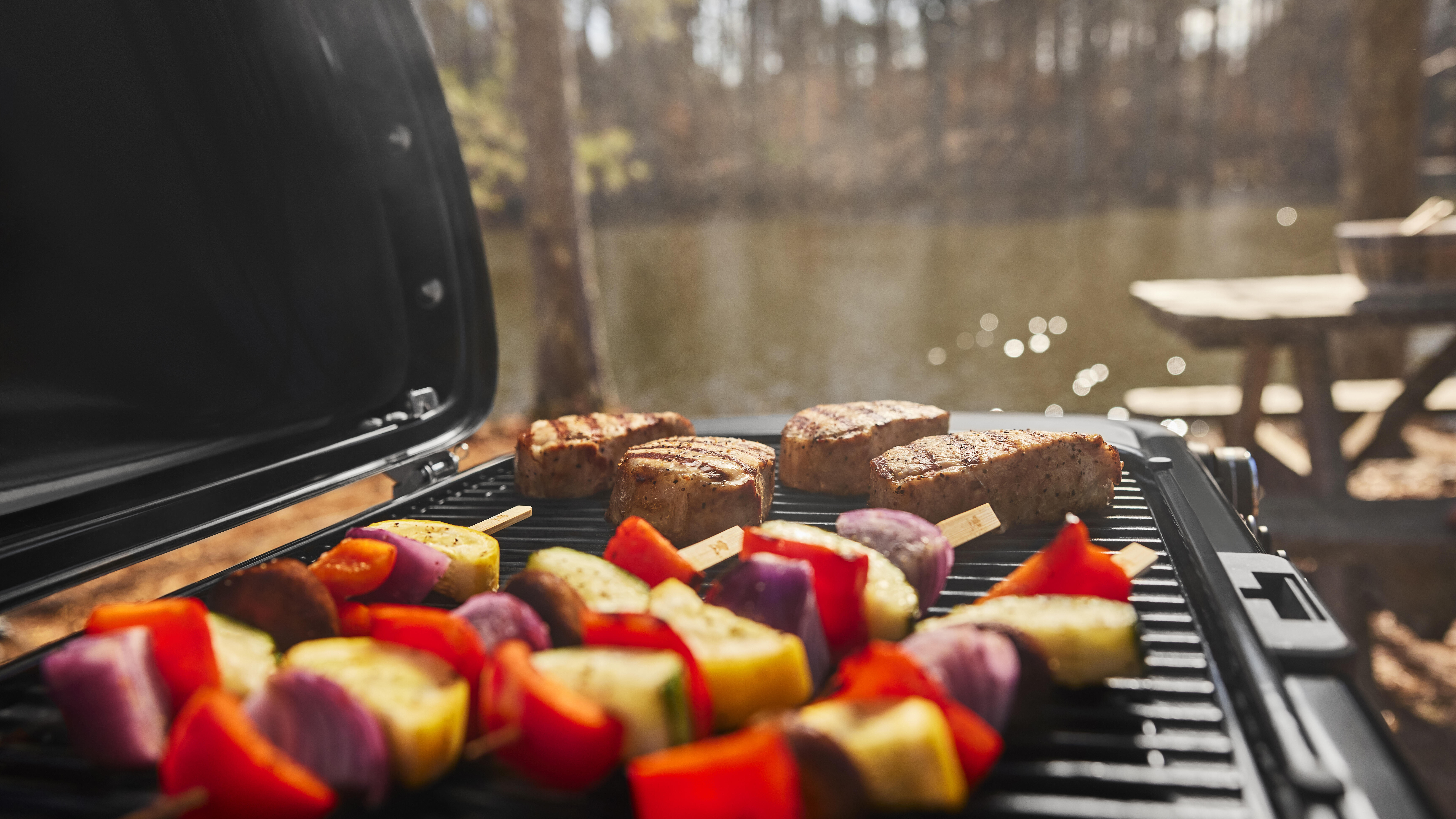 Barbecue a gas WEBER Traveler Compact 1 bruciatori - 4