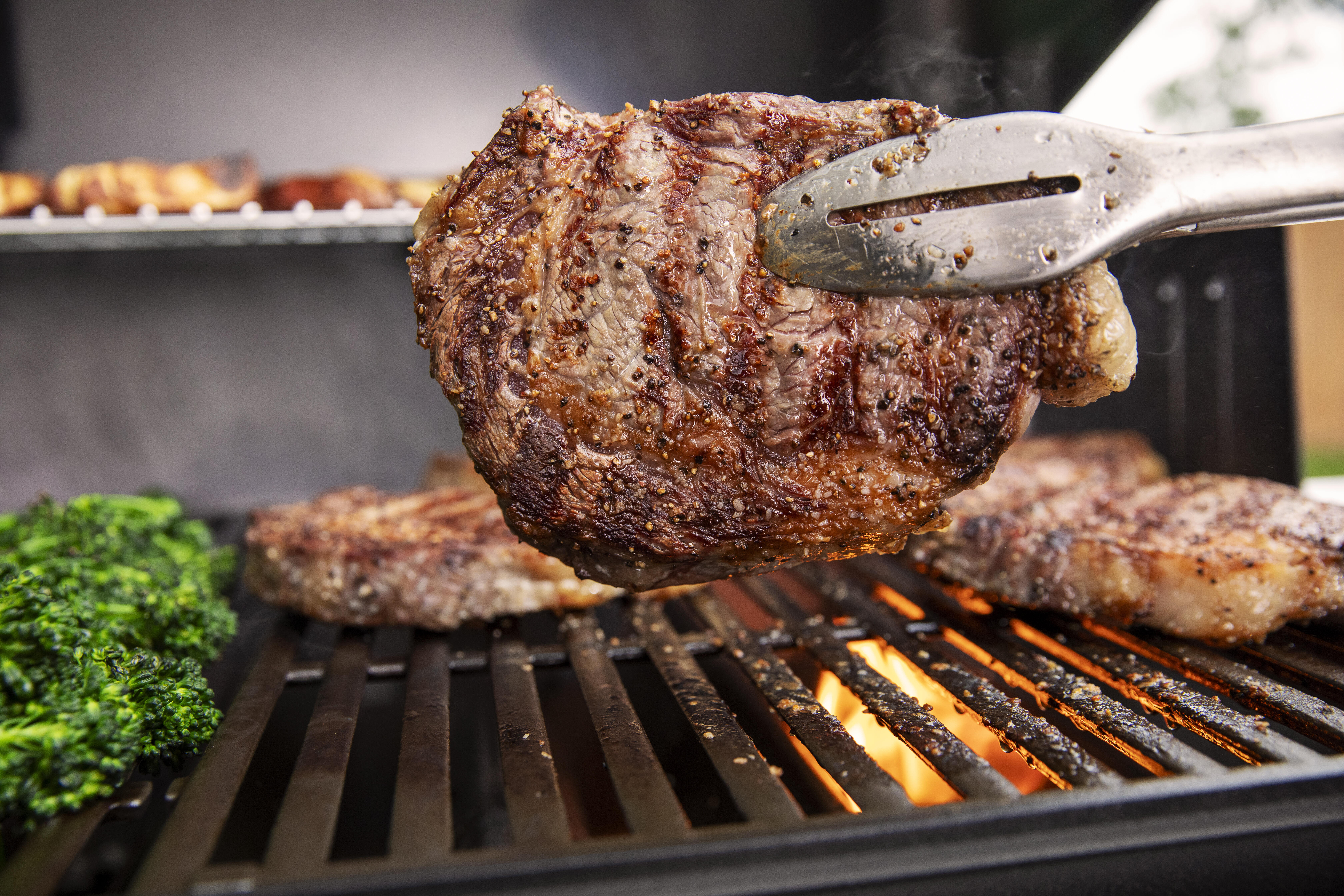 Barbecue a gas WEBER GENESIS E-315 3 bruciatori - 3
