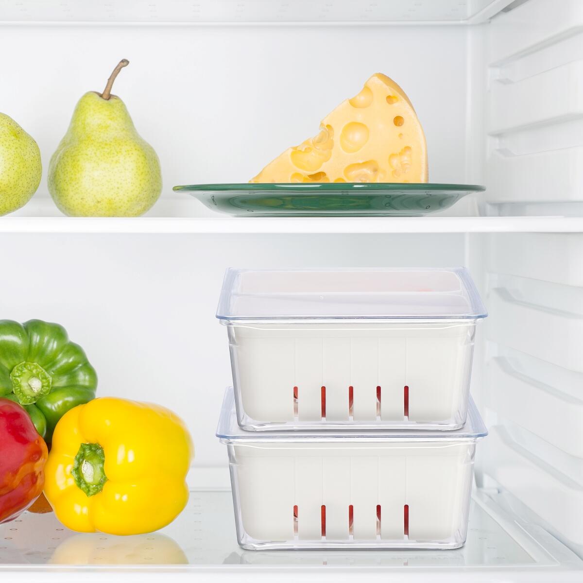 AEG FRIGO INSALATA Contenitore Cassetto Frutta e Verdura Contenitore
