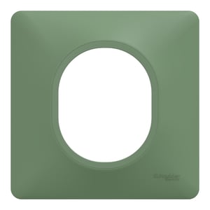 Plaque simple Ovalis, SCHNEIDER ELECTRIC, vert forêt