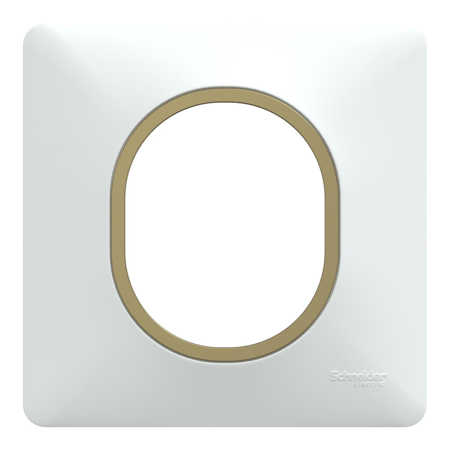 Plaque simple Ovalis, SCHNEIDER ELECTRIC, blanc bague effet laiton | Leroy Merlin