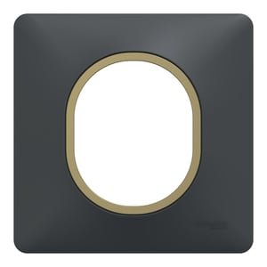 Plaque simple Ovalis, SCHNEIDER ELECTRIC, anthracite bague effet laiton