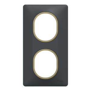 Plaque double verticale Ovalis SCHNEIDER ELECTRIC, anthracite bague effet laiton