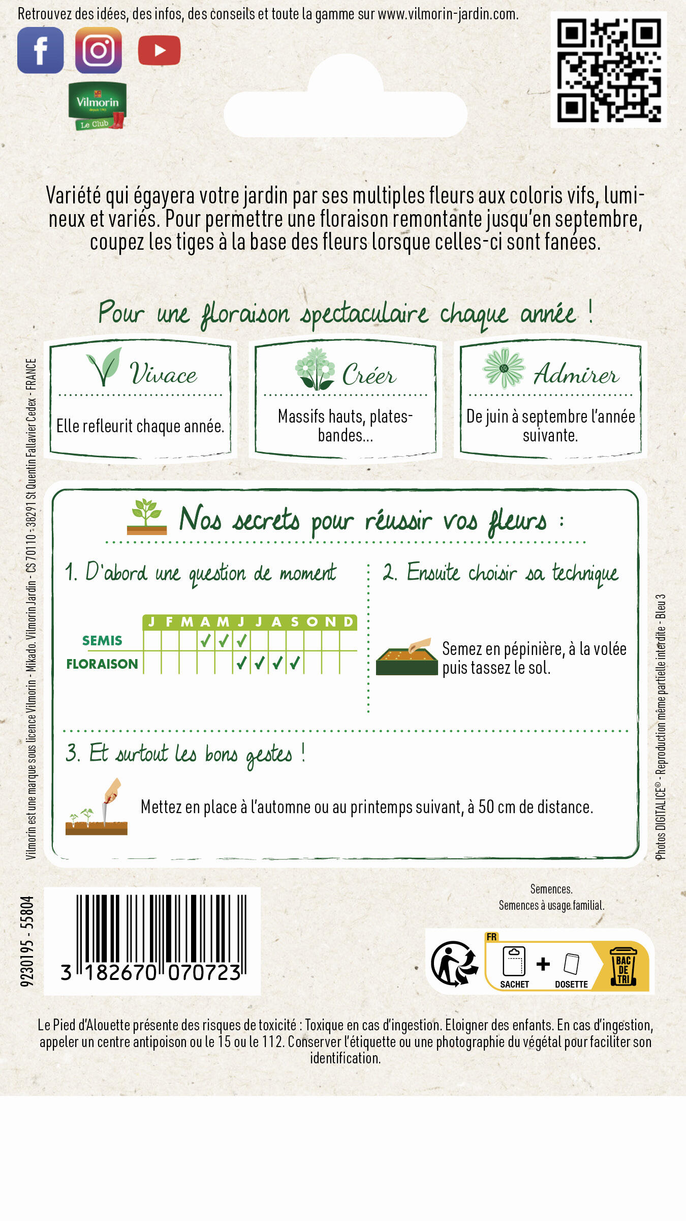 Delphinium pacific géant varié - 2