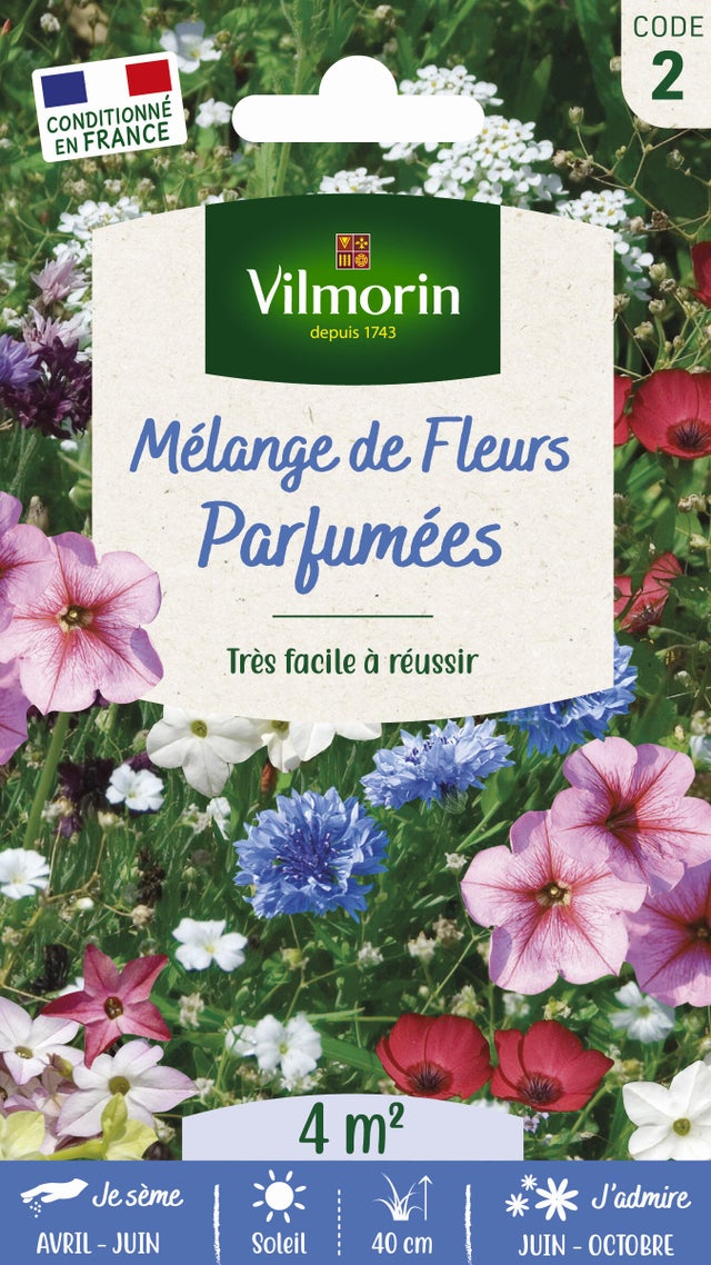 Mélange de fleurs parfumées multicolore