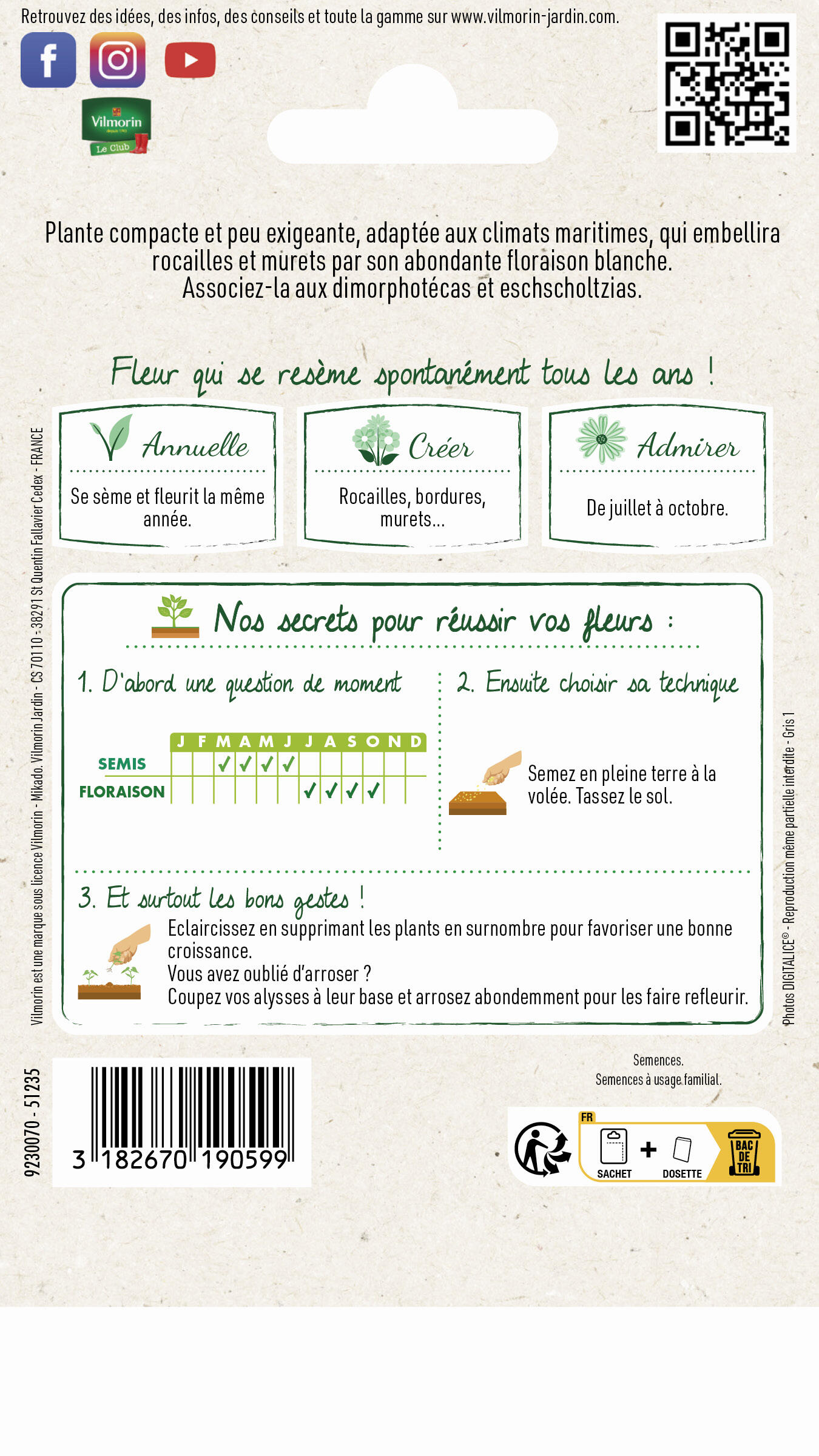 Alysse corbeille d'argent VILMORIN 1 g - 3